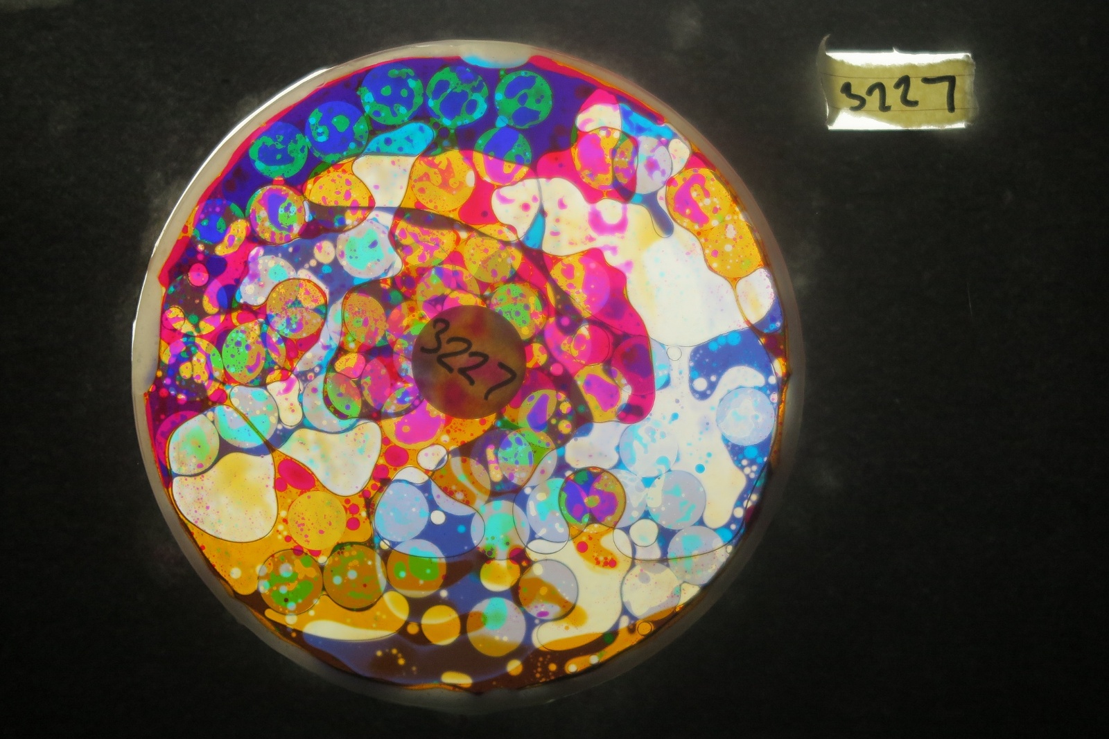 BV3227 bubble vision oil wheel